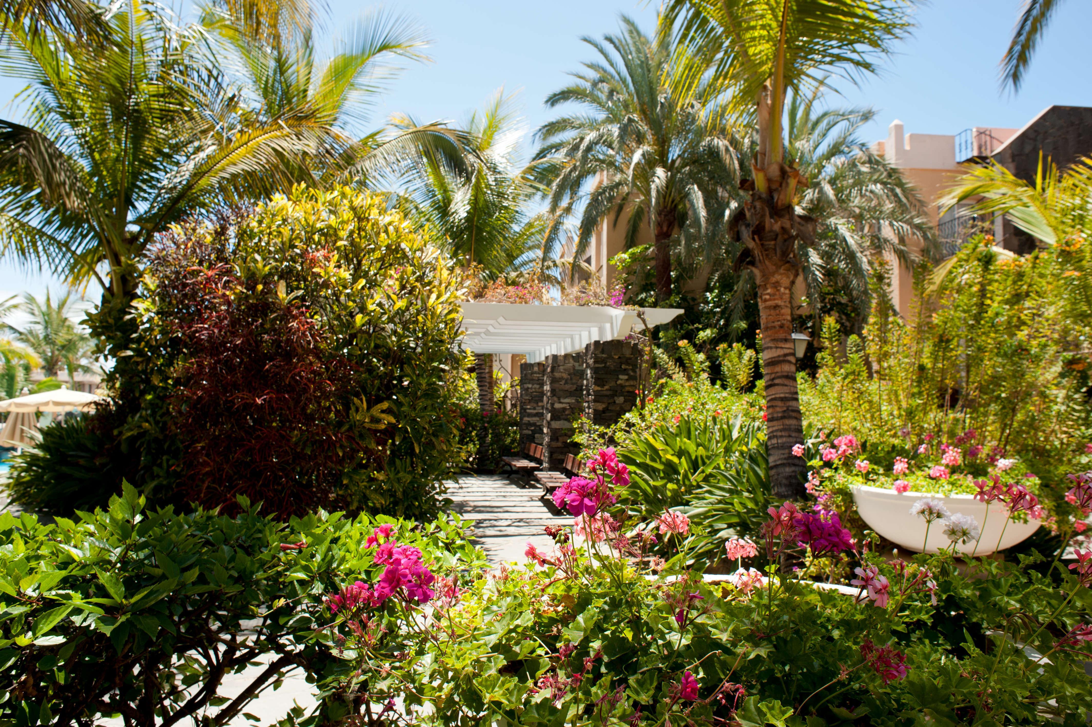 Hotel Palm Oasis Maspalomas Maspalomas  Exteriér fotografie