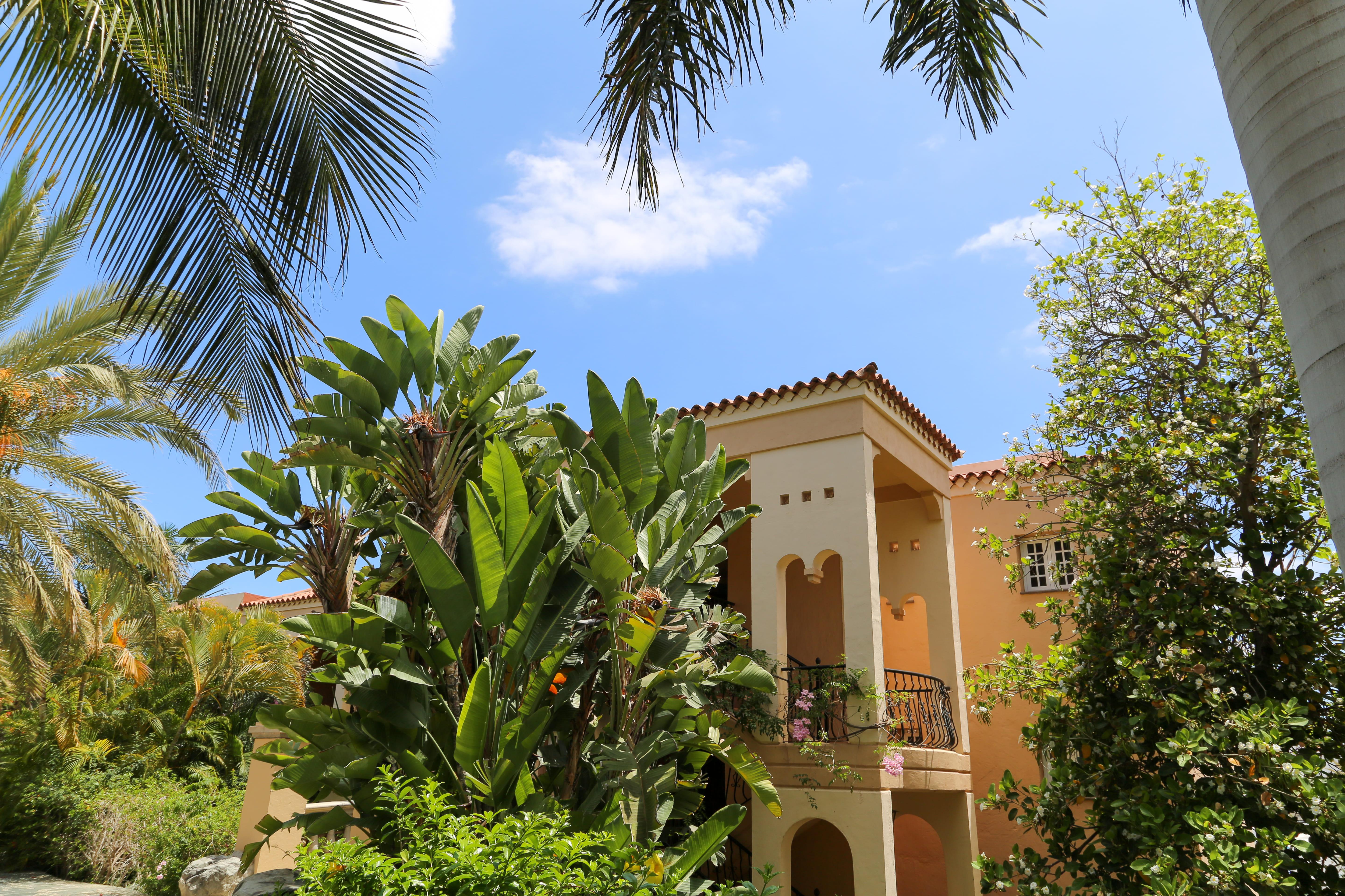 Hotel Palm Oasis Maspalomas Maspalomas  Exteriér fotografie