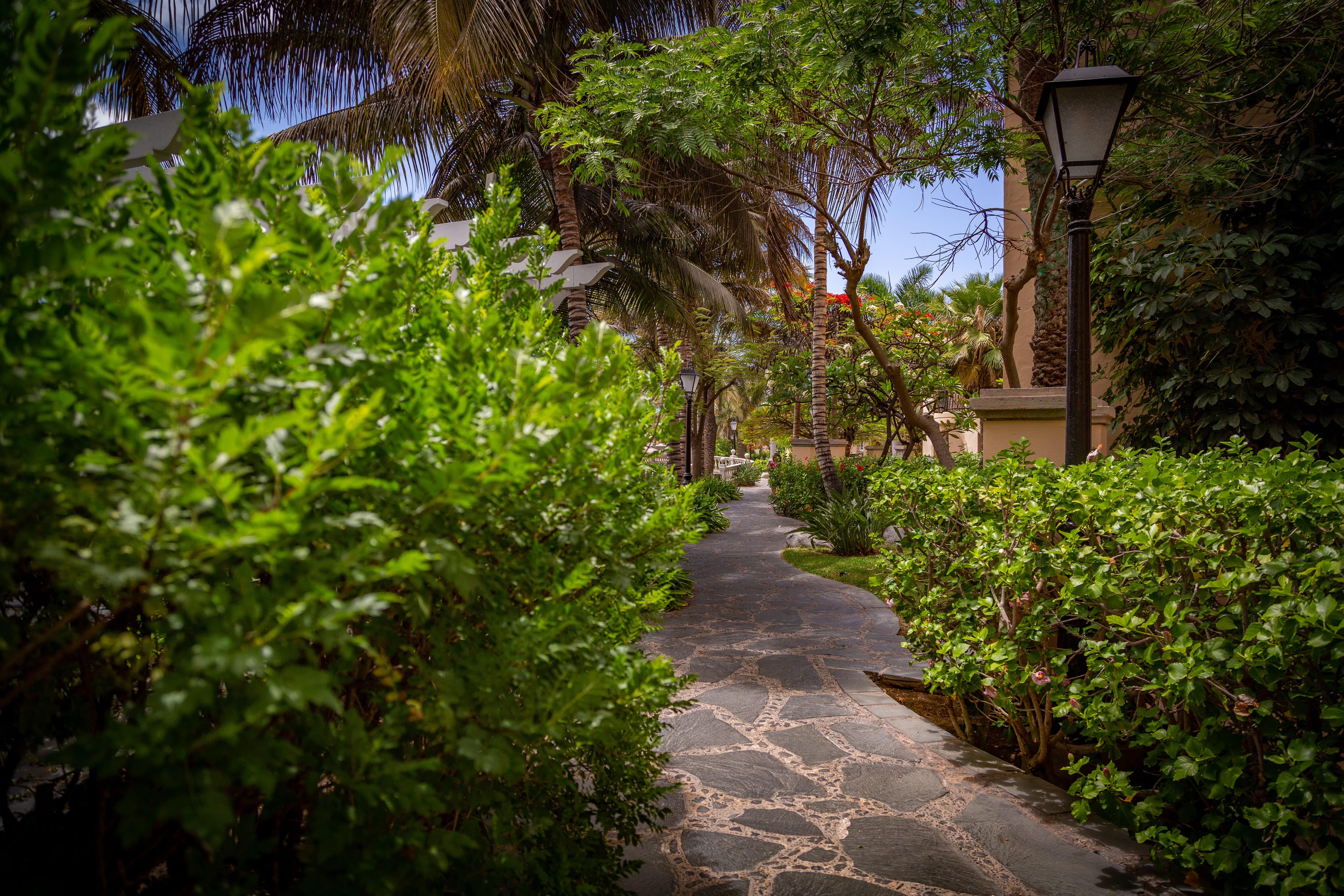 Hotel Palm Oasis Maspalomas Maspalomas  Exteriér fotografie